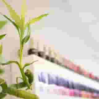 Pavillon De La Rotonde Et Spa, 2 of 5