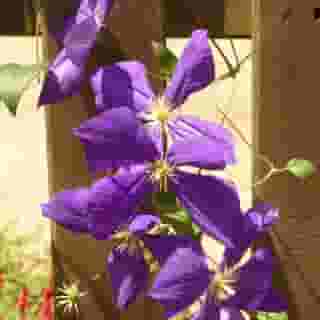 Chambres D'hotes Las Vignes, 5 of 5