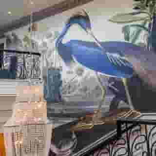 Dromhall Hotel, 1 of 5