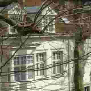 Pand 17 - Charming Guesthouse, 3 of 5