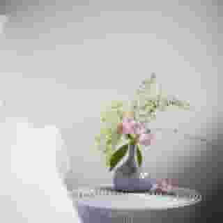 Yust Antwerpen, 5 of 5