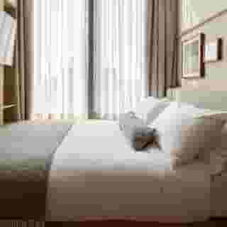 Wren Urban Nest, 5 of 5