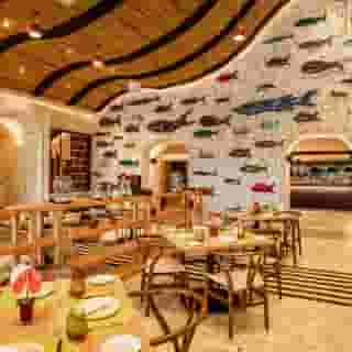 Estudio Playa Mujeres, 2 of 5