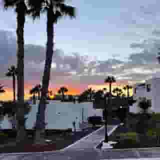 Palmeras Garden, 3 of 5