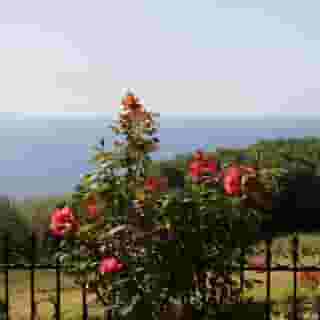 Villa Voula, 5 of 5
