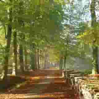 Villa Magdalena, 5 of 5