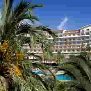 Intur Orange, 2 of 5