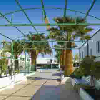 Los Gracioseros, 4 of 5