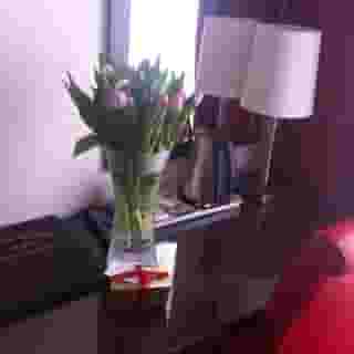 Hotel Allure, 5 of 5