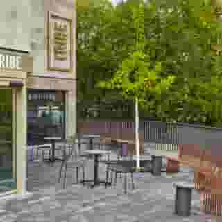 Tribe Baden Baden, 5 of 5