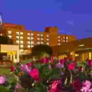 Boston Marriott Burlington, 1 of 2