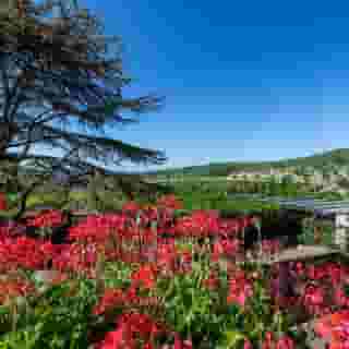 Relais Vignale & Spa, 6 of 6