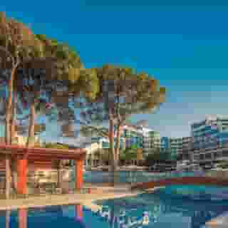 Paloma Sensia, 2 of 5