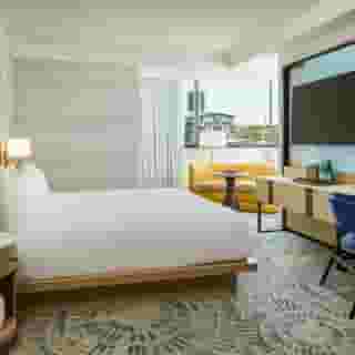 Highland Dallas, Curio Collection By Hilton, 1 of 5