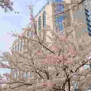 Grand Hyatt Tokyo, 1 of 5