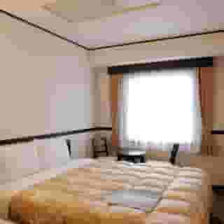 Toyoko Inn Tokyo Ueno Tawaramachi-Eki, 1 of 5