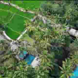 Wapa di Ume Ubud, 4 of 5