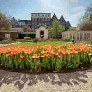 Waldorf Astoria Amsterdam, 2 of 5