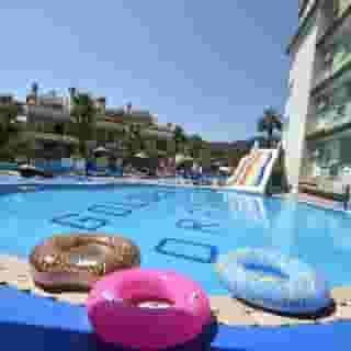 Golden Orange, 4 of 5