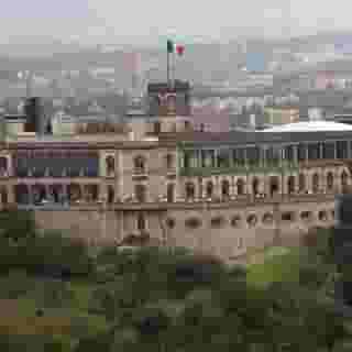 Pug Seal Anatole France, 1 of 5