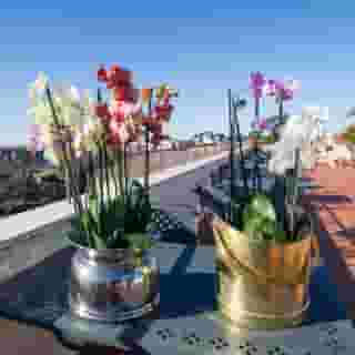 Domus Sessoriana, 2 of 5