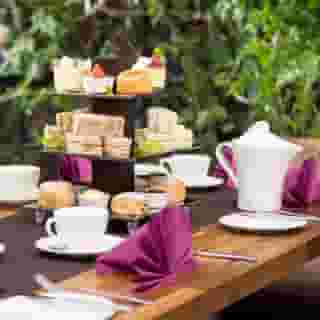 Savoy Jersey, 2 of 5