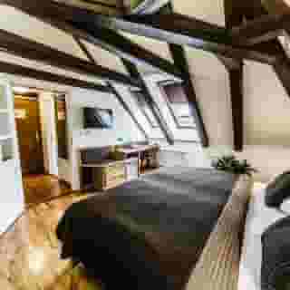 Archibald at the Charles Bridge, 4 of 5