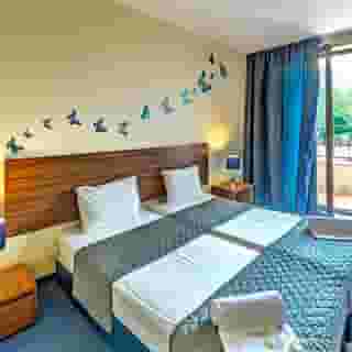 Vitoshko lale, 1 of 5