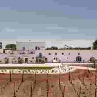 Masseria Auraterrae, 5 of 5
