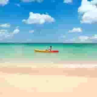 The Sandpiper, 3 of 5