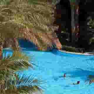 Baron Palms Resort - Adults Only (16+), 5 of 5