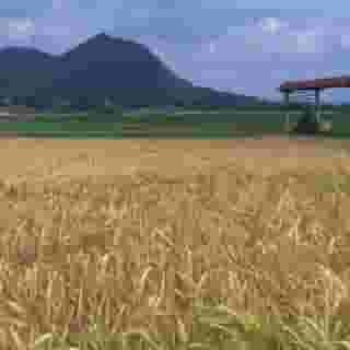 B&b Dvor Tacen, 4 of 5