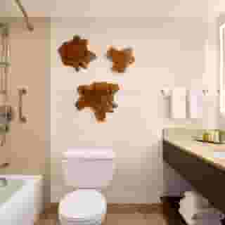 Hilton Vancouver Airport, 4 of 5