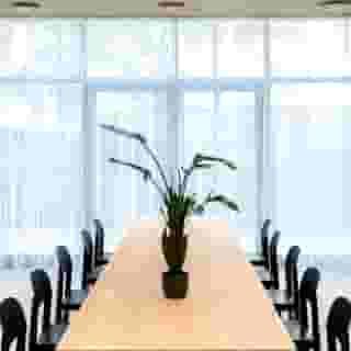 Vagabond Downtown, 4 of 5