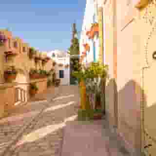 Medina Diar Lemdina, 6 of 6