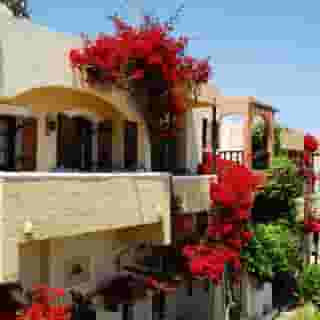 Malia Studios Apartments, 2 of 5