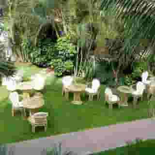 Don Manolito, 5 of 5