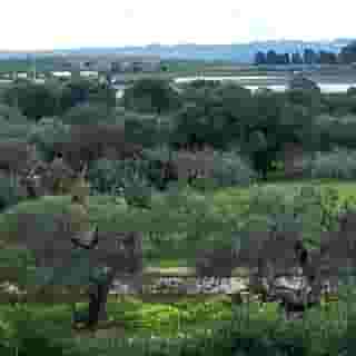 Barion Hotel And Congressi, 3 of 5