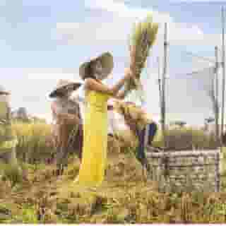 Visesa Ubud Resort, 2 of 5