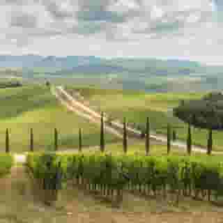 Eh Villa Dievole, 3 of 5