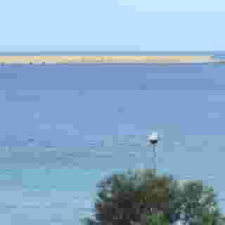 Alma Di Alghero, 3 of 5