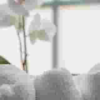 Pension Eulennest, 5 of 5