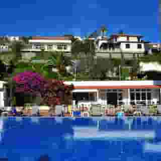 Dorisol Mimosa, 2 of 5