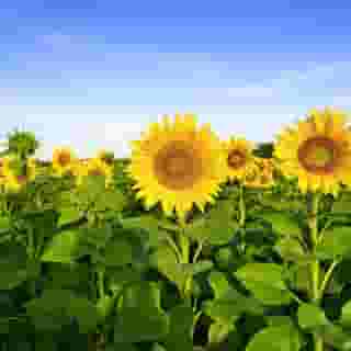 ibis Avignon Centre Pont de l'Europe, 5 of 5