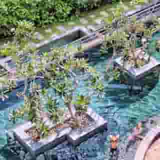 Novotel Phuket Kamala, 5 of 5