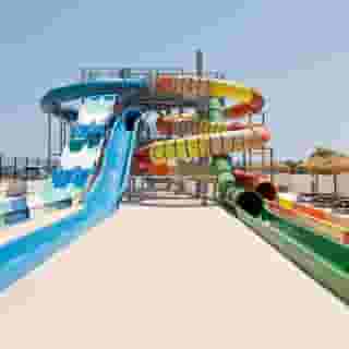 Best Oasis Tropical, 2 of 5