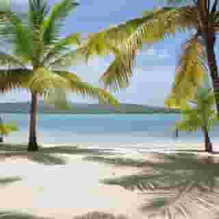 Club Hotel Riu Bachata, 6 of 6