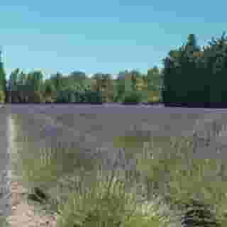 Residence Vacanceole Sun Hols Les rives du lac, 3 of 5