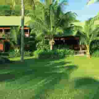 Paradise Sun, 2 of 5