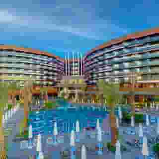 Calyptus Kirman Premium, 1 of 5